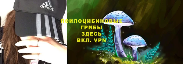 марки nbome Богородицк
