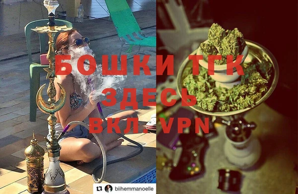 бошки Богданович